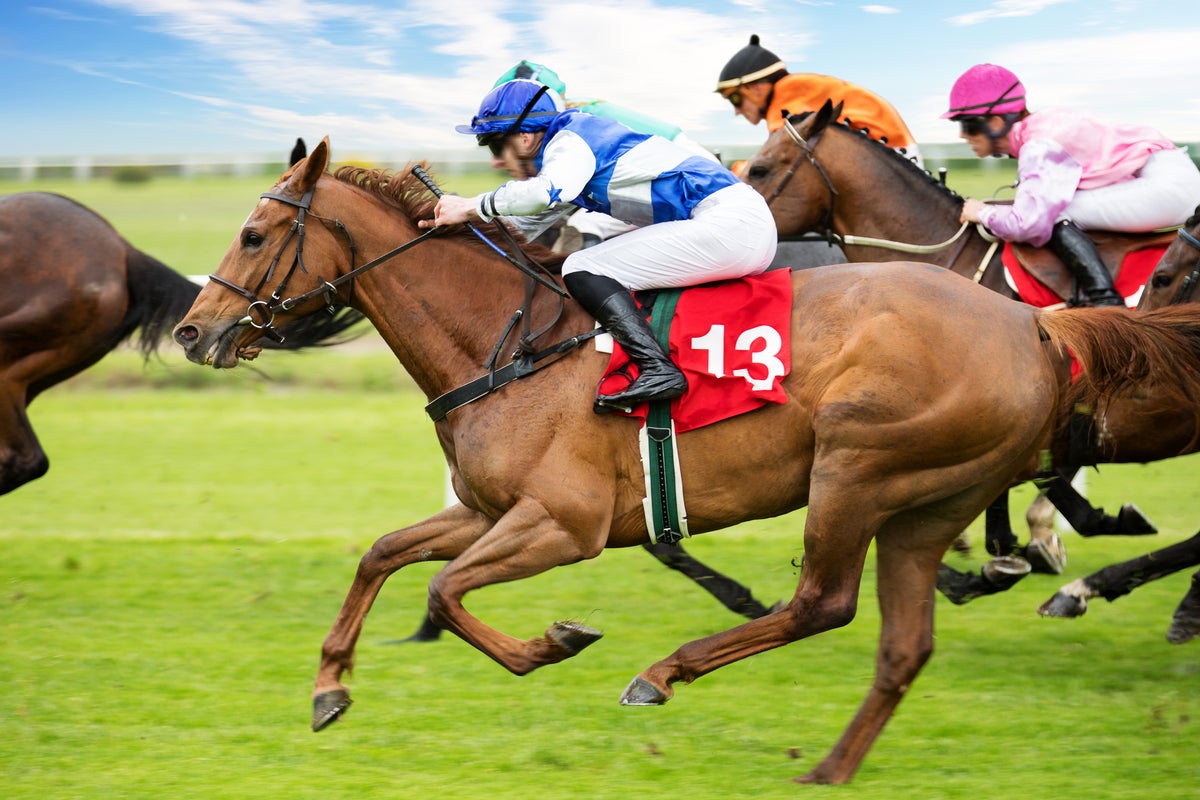 race fast racing horses shutterstock 1399280570